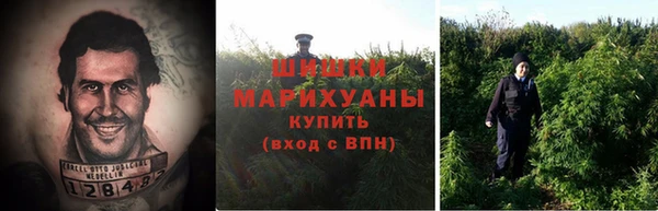 МДМА Новозыбков