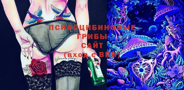 мдпв Заволжье