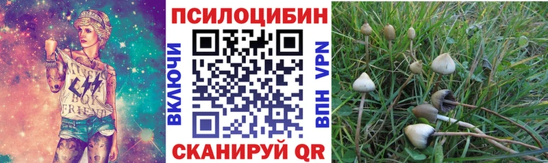 Галлюциногенные грибы MAGIC MUSHROOMS  Кировград 
